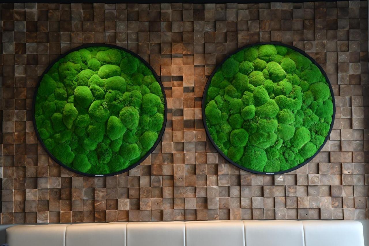 In Situ Hotel 발랑시엔 외부 사진